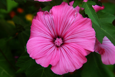 Similar image 1210934