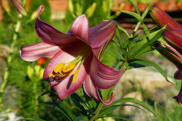 Similar image 1210935