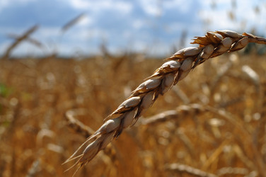 Similar image 1210939