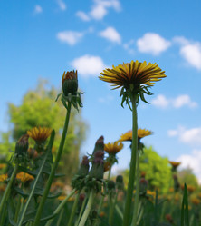 Similar image 1210956