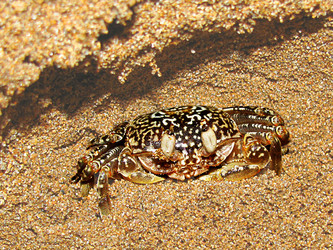 Similar image 1210995