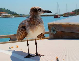 Similar image 1210996