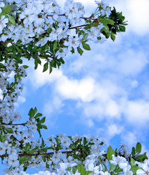 Similar image 1211021