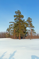 Similar image 1211036