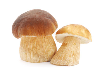 Similar image 1211041