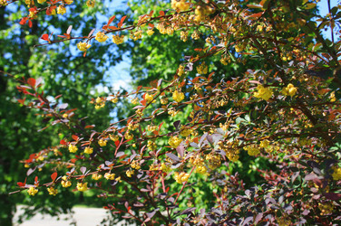 Similar image 1211048