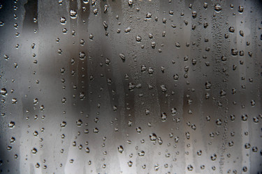 Similar image 1211069