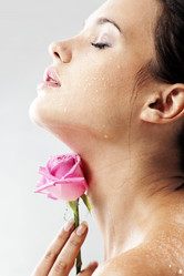 Similar image 1211118