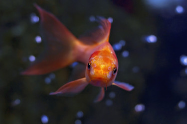 Similar image 1211223