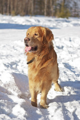 Similar image 1211228