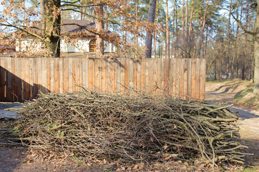 Similar image 1211236