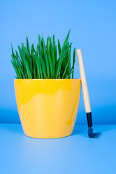 Similar image 1211262