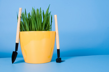 Similar image 1211263