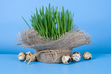 Similar image 1211265