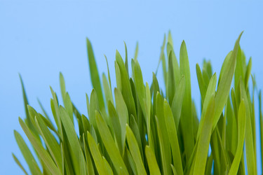 Similar image 1211269