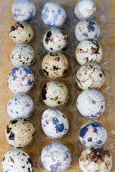 Similar image 1211275