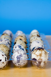 Similar image 1211276