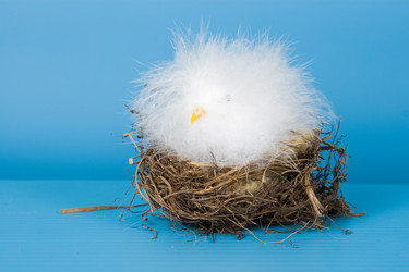 Similar image 1211278