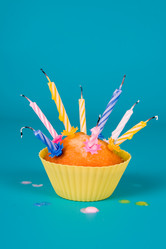 Similar image 1211279