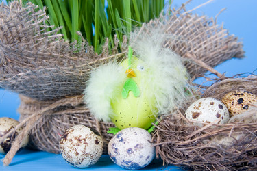 Similar image 1211282