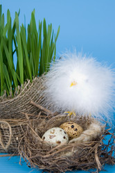 Similar image 1211288