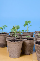 Similar image 1211289