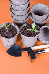 Similar image 1211291