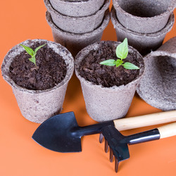 Similar image 1211292