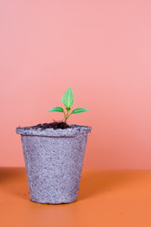 Similar image 1211295