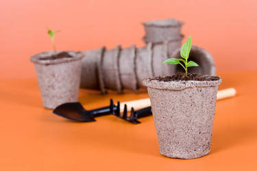 Similar image 1211296