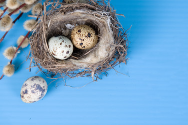 Similar image 1211300