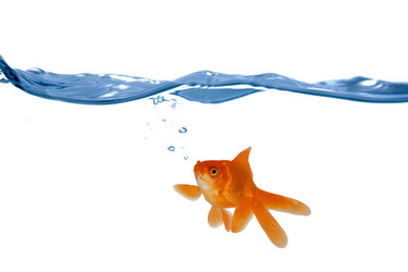 Similar image 1211303