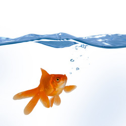 Similar image 1211305