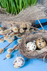 Similar image 1211308