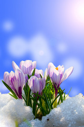 Similar image 1211330