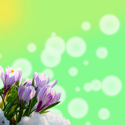 Similar image 1211331