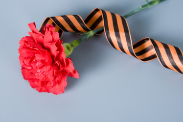 Similar image 1211333