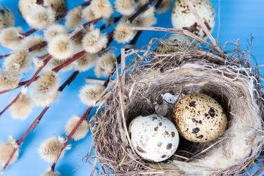 Similar image 1211338