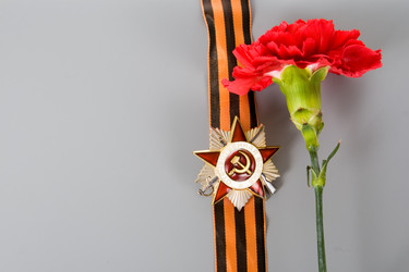 Similar image 1211342