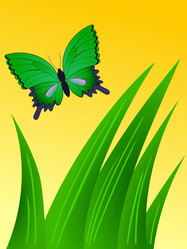 Similar image 1211367