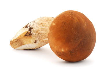 Similar image 1211399