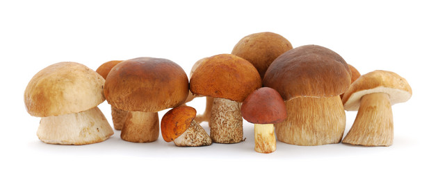 Similar image 1211424