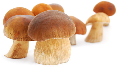 Similar image 1211428