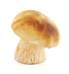 Similar image 1211429