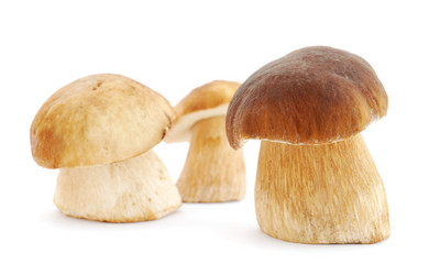 Similar image 1211430