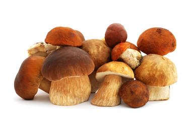 Similar image 1211444