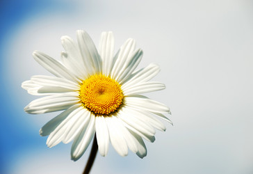 Similar image 1211469