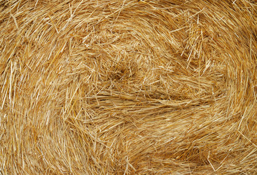 Similar image 1211486