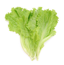 Similar image 1211494