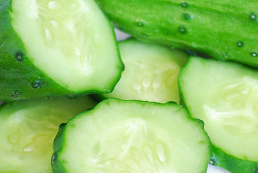 Similar image 1211523